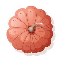 Orange pumpkin on white background, illustration with shadow vector
