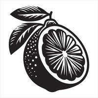Graphic Symbols for Citrus vector