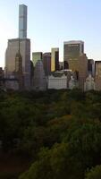 Breathtaking Cityscape View featuring Urban Skyline alongside Central Park, a true gem video
