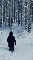 A child is walking through a snowy forest, enjoying the beauty and calmness of the winter video