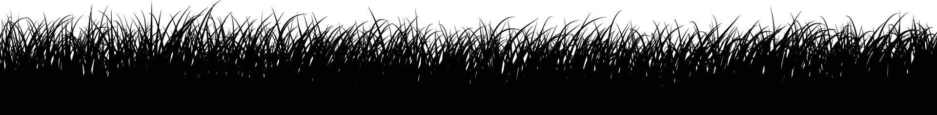 Grass black silhouette illustration on transparent background.