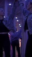Reflective Duality in a Vibrant Neon Ambiance That Captivates the Senses and Imagination video