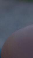 CloseUp of a Circular Shape Featuring Soft Focus and Subtle Color Gradients in Detail video