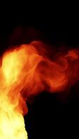 An Abstract Representation of Fire Flames set against a striking Black Background video