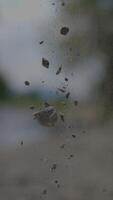 The Elegant Dance of Suspended Particles in Natures EverChanging Aerial Display video