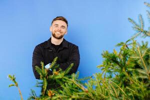 Man is carrying a cart with a pine tree on a blue background photo