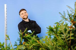 Man is carrying a cart with a pine tree on a blue background photo