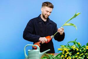 Man flower shop manager standing in apron in small floral shop. Man working a with tulips in flower shop. photo