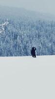 A Mystical Figure Standing Solemnly in a Snowy Wilderness Deep in the Heart of Winter video