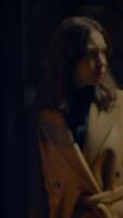 The Mysterious Shadows that Emerge in the Dim Light Create a Captivating Atmosphere video
