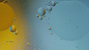 Macro structure of colorful oil bubbles. Chaotic motion. Abstract multicolored background. Pattern video