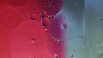 Macro structure of colorful oil bubbles. Chaotic motion. Abstract multicolored background. Pattern video