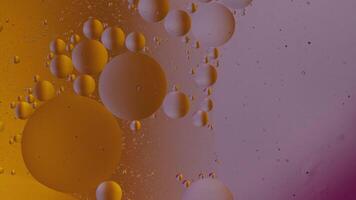 Macro structure of colorful oil bubbles. Chaotic motion. Abstract multicolored background. Pattern video