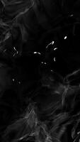 This is an Abstract Black Smoke Texture showcasing Glimmers of Light emanating from it video