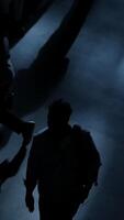 Silhouettes in Motion An Intriguing Experience of Capturing Shadows and Diverse Forms video