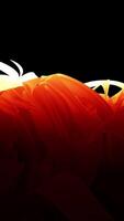 Dynamic Abstract Art Featuring Warm Orange Tones Alongside Fluid and Engaging Shapes video