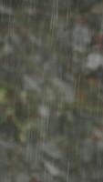 Rainfall Passing Through Lush Greenery An Exquisite Expression of Natures Serenity video