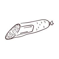 Half a smoked sausage in line art style. Hand drawn salami for meat store and menu design. Isolated on a white background. vector