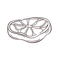Red meat cut in line art style. Hand drawn design for butcher shop, menu, farm market. Isolated on a white background. vector