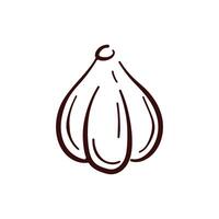Garlic Bulb icon in line art style. Vegetable design for cooking book, menu, product store. Isolated on a white background. vector