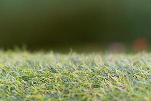 Empty green grass with blurry background for display a product photo