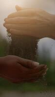 Hands Sharing Earth A Beautiful Symbol of Connection, Growth, and Unity in Nature video
