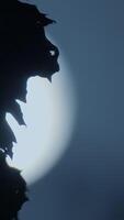 A Beautiful Silhouette of Trees and Leaves Set Against a Moonlit and Ethereal Background video