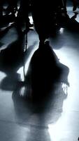 An Abstract Silhouette Featuring a Cane Positioned on a Glossy Surface for Artistic Impact video
