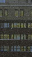 en lugn snöfall graciöst omslag ett urban byggnad på natt, skapande en fängslande scen video
