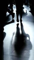 Shadows and Silhouettes in Motion create an engaging dynamic visual experience for viewers video