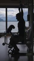 The Silhouette of a Dedicated Person Engaged in Working Out in a Beautiful Scenic Gym Environment video