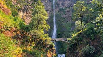 The Benson Bridge is the footbridge that traverses Multnomah Creek. Scenic Waterfall and Bridge in a Lush Green Forest. video