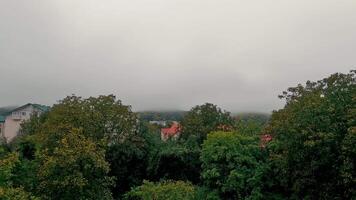 Time-lapse overcast sky above treetops and rooftops in a foggy landscape. A foggy morning scene with an overcast sky covering the horizon, where the tops of trees and buildings are just visible. video