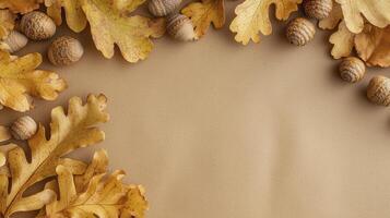 Autumnal background with oak leaves and acorns framing empty space photo