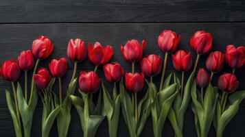 Row of red tulips lying on black wooden background photo