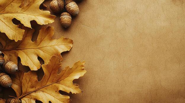 Golden yellow oak leaves and acorns forming a border on rustic background photo