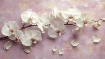 Branch of white orchids lying on pink textured background photo