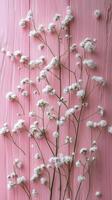 Delicate white flowers lying on a pink wooden background photo