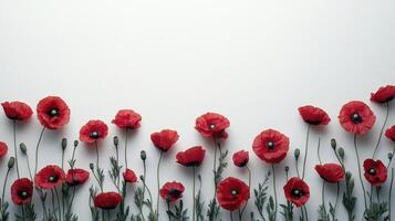 Minimalist floral background with red poppies arranged on bottom photo