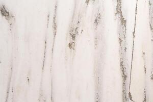 White marble stone texture showing weathered details photo