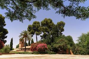 The alhambra gardens showing off their greenery and flowers on a sunny day photo