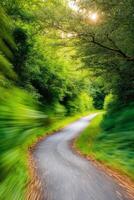 A blurry image of a winding road through a green forest photo