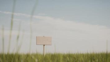 A wooden sign in a field with tall grass photo