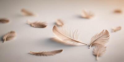 Feathers on the table photo