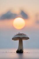 A mushroom is standing on the water with the sun setting behind it photo
