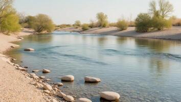 A river with rocks and trees in the middle of it photo
