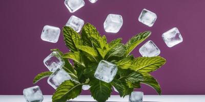 Mint leaves in a vase with ice cubes photo