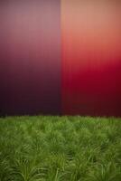 A grassy field with a red and purple background photo