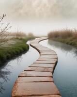 A path that leads to a river in the fog photo