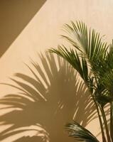 A palm tree is shown in front of a wall photo